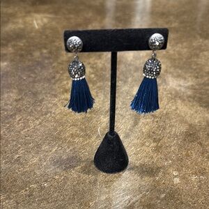 Elegant Silver and Blue Tassel Earrings